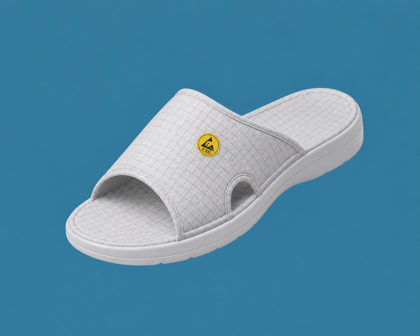 Antistatic Slipper